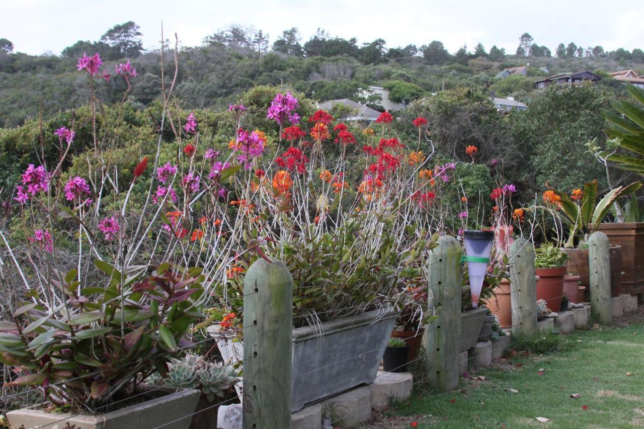 Ferienwohnung Imperani Plettenberg Bay Exterior foto